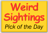 This is a Weird Sightings pick of the day